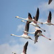 Saline Nature Reserve and Museum of the Salt