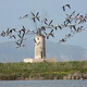 Saline Nature Reserve and Museum of the Salt