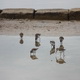 Saline Nature Reserve and Museum of the Salt