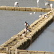 Saline Nature Reserve and Museum of the Salt